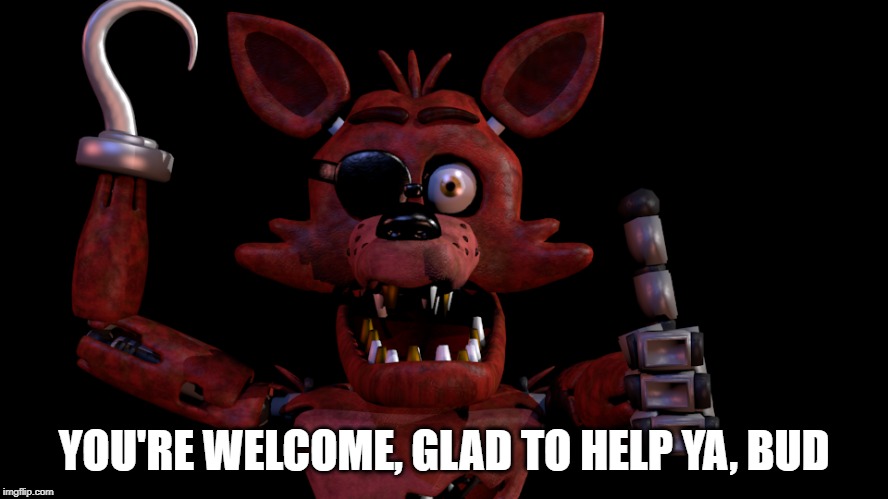 Foxy Thumbs Up | YOU'RE WELCOME, GLAD TO HELP YA, BUD | image tagged in foxy thumbs up | made w/ Imgflip meme maker