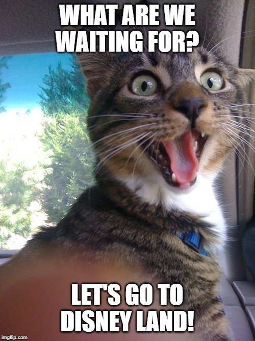 Excited Cat | WHAT ARE WE WAITING FOR? LET'S GO TO DISNEY LAND! | image tagged in excited cat | made w/ Imgflip meme maker