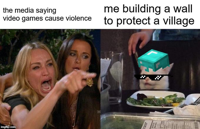 i protecc da village | the media saying video games cause violence; me building a wall to protect a village | image tagged in memes,woman yelling at cat | made w/ Imgflip meme maker