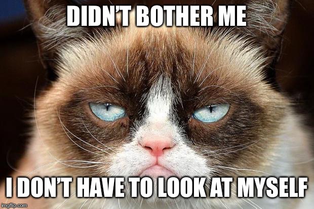 Grumpy Cat Not Amused Meme | DIDN’T BOTHER ME I DON’T HAVE TO LOOK AT MYSELF | image tagged in memes,grumpy cat not amused,grumpy cat | made w/ Imgflip meme maker
