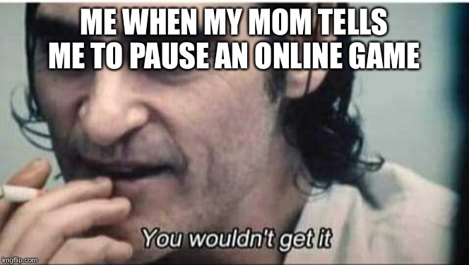 You wouldn't get it | ME WHEN MY MOM TELLS ME TO PAUSE AN ONLINE GAME | image tagged in you wouldn't get it | made w/ Imgflip meme maker