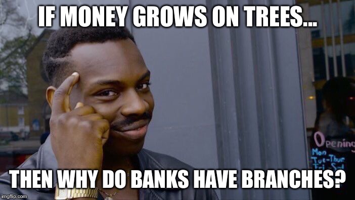 Roll Safe Think About It | IF MONEY GROWS ON TREES... THEN WHY DO BANKS HAVE BRANCHES? | image tagged in memes,roll safe think about it | made w/ Imgflip meme maker