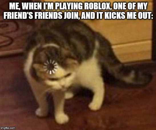 cat playing roblox