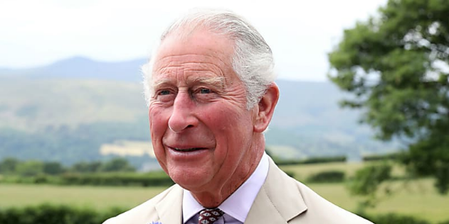 Prince Charles Blank Meme Template