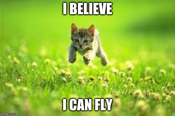 My Favorite meme of all time. | I BELIEVE; I CAN FLY | image tagged in funny memes | made w/ Imgflip meme maker