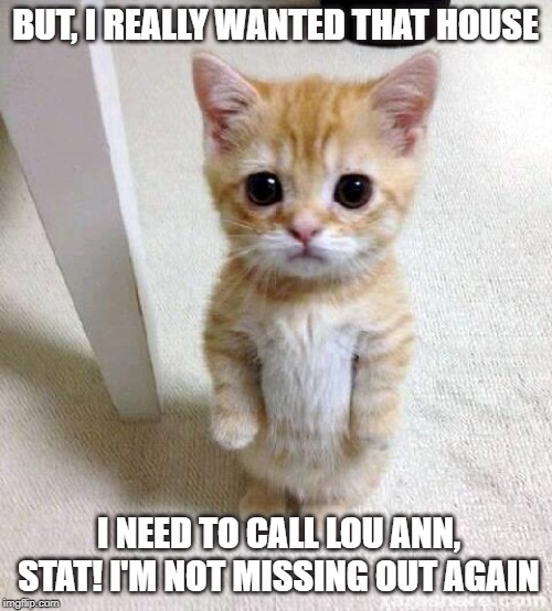 Cute Cat | BUT, I REALLY WANTED THAT HOUSE; I NEED TO CALL LOU ANN, STAT! I'M NOT MISSING OUT AGAIN | image tagged in memes,cute cat | made w/ Imgflip meme maker