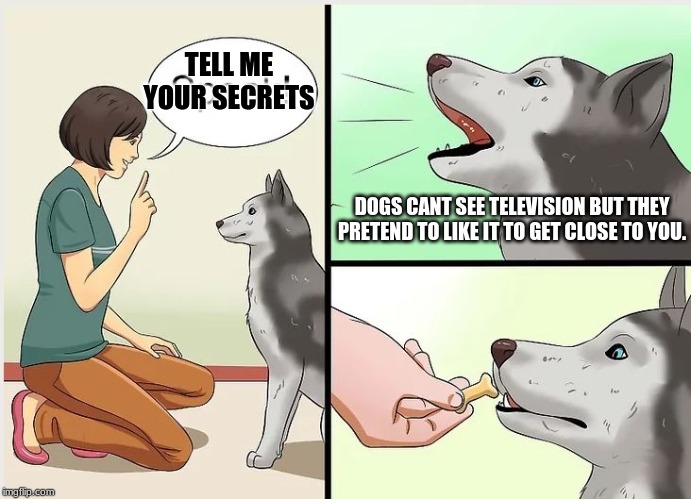Wikihow Dog Training | TELL ME YOUR SECRETS; DOGS CANT SEE TELEVISION BUT THEY PRETEND TO LIKE IT TO GET CLOSE TO YOU. | image tagged in wikihow dog training | made w/ Imgflip meme maker