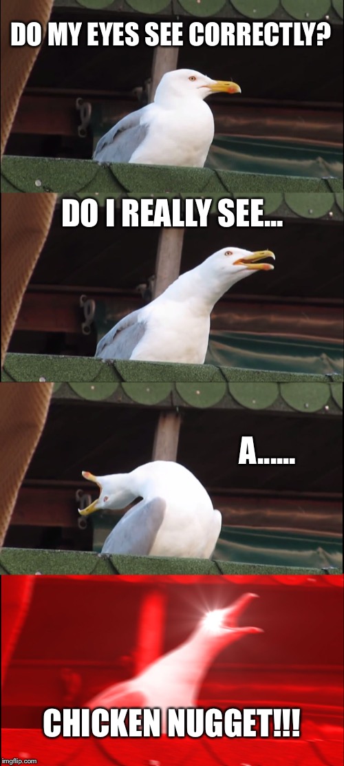 Inhaling Seagull | DO MY EYES SEE CORRECTLY? DO I REALLY SEE... A...... CHICKEN NUGGET!!! | image tagged in memes,inhaling seagull | made w/ Imgflip meme maker