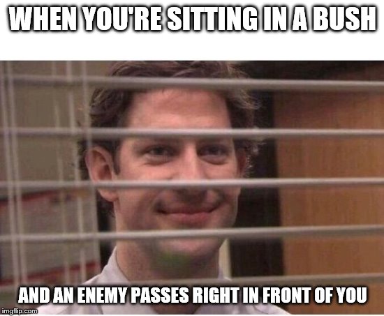 Camo 100 | WHEN YOU'RE SITTING IN A BUSH; AND AN ENEMY PASSES RIGHT IN FRONT OF YOU | image tagged in the office jim blinds | made w/ Imgflip meme maker