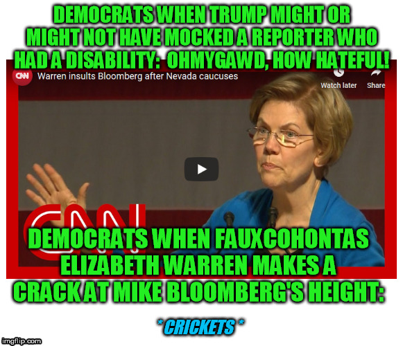 Honestly, the double standards are getting a little thick here | DEMOCRATS WHEN TRUMP MIGHT OR MIGHT NOT HAVE MOCKED A REPORTER WHO HAD A DISABILITY:  OHMYGAWD, HOW HATEFUL! DEMOCRATS WHEN FAUXCOHONTAS ELIZABETH WARREN MAKES A CRACK AT MIKE BLOOMBERG'S HEIGHT:; * CRICKETS * | image tagged in elizabeth warren,donald trump,mike bloomberg,hypocrisy,handicapped,height | made w/ Imgflip meme maker