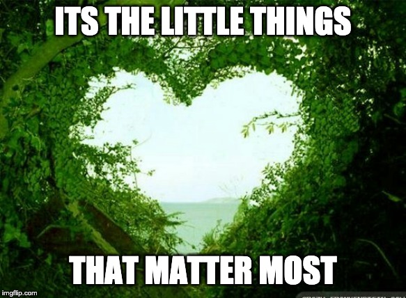 nature heart | ITS THE LITTLE THINGS; THAT MATTER MOST | image tagged in nature heart | made w/ Imgflip meme maker