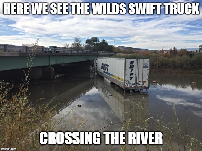 Swift Truck in River  | HERE WE SEE THE WILDS SWIFT TRUCK; CROSSING THE RIVER | image tagged in swift truck in river | made w/ Imgflip meme maker