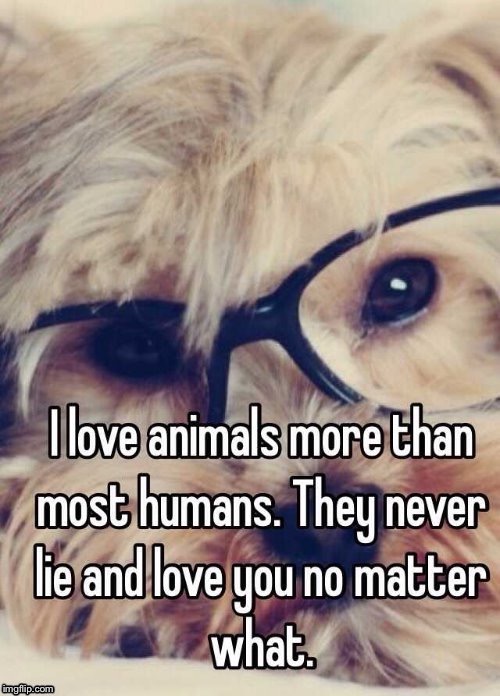 90% of humans are nothing but pure evil whilst 100% of animals and plants are not | image tagged in animals,humans | made w/ Imgflip meme maker