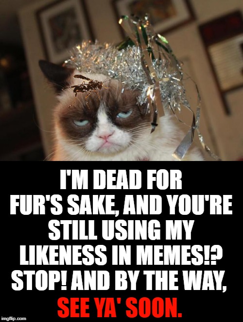 Grumpy Cat New Years | I'M DEAD FOR FUR'S SAKE, AND YOU'RE STILL USING MY LIKENESS IN MEMES!? STOP! AND BY THE WAY, SEE YA' SOON. | image tagged in grumpy cat new years | made w/ Imgflip meme maker