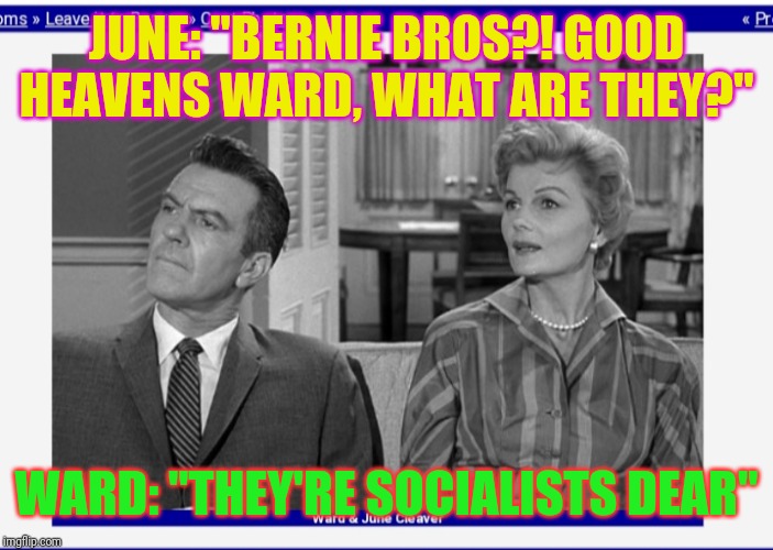 JUNE: "BERNIE BROS?! GOOD HEAVENS WARD, WHAT ARE THEY?"; WARD: "THEY'RE SOCIALISTS DEAR" | image tagged in republican party,leave it to beaver,1950s middle finger,liberal vs conservative | made w/ Imgflip meme maker