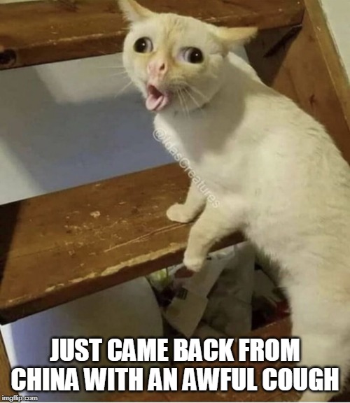 Cat Cough | JUST CAME BACK FROM CHINA WITH AN AWFUL COUGH | image tagged in cat cough | made w/ Imgflip meme maker