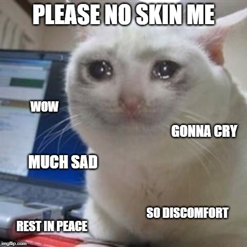 Sad cat tears | PLEASE NO SKIN ME; WOW; GONNA CRY; MUCH SAD; SO DISCOMFORT; REST IN PEACE | image tagged in sad cat tears | made w/ Imgflip meme maker