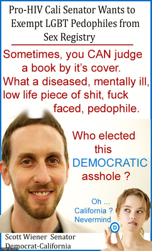 Who would elect these sick perverts ? Oh....nevermind | image tagged in scott wiener,gays,lgbtq,political meme,democrats,stupid liberals | made w/ Imgflip meme maker