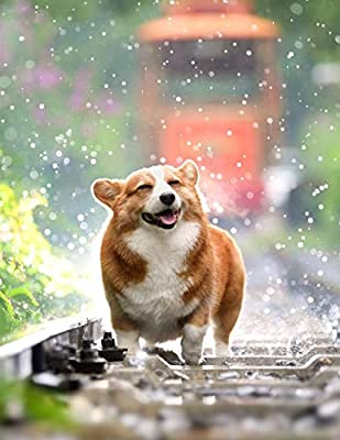 corgi cute train Blank Meme Template