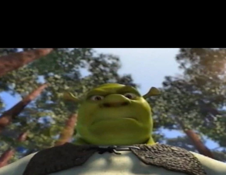 Shrek Blank Meme Template