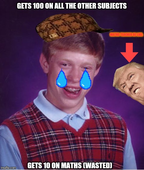 Bad Luck Brian Meme | GETS 100 ON ALL THE OTHER SUBJECTS; MATHS TEACHER BE LIKE:; GETS 10 ON MATHS (WASTED) | image tagged in memes,bad luck brian | made w/ Imgflip meme maker