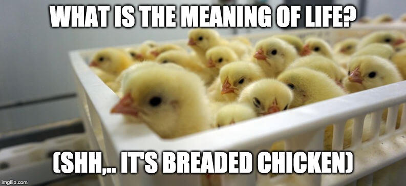 WHAT IS THE MEANING OF LIFE? (SHH,.. IT'S BREADED CHICKEN) | made w/ Imgflip meme maker