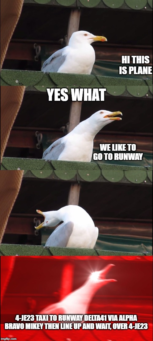 Inhaling Seagull | HI THIS IS PLANE; YES WHAT; WE LIKE TO GO TO RUNWAY; 4-JE23 TAXI TO RUNWAY DELTA41 VIA ALPHA BRAVO MIKEY THEN LINE UP AND WAIT, OVER 4-JE23 | image tagged in memes,inhaling seagull | made w/ Imgflip meme maker