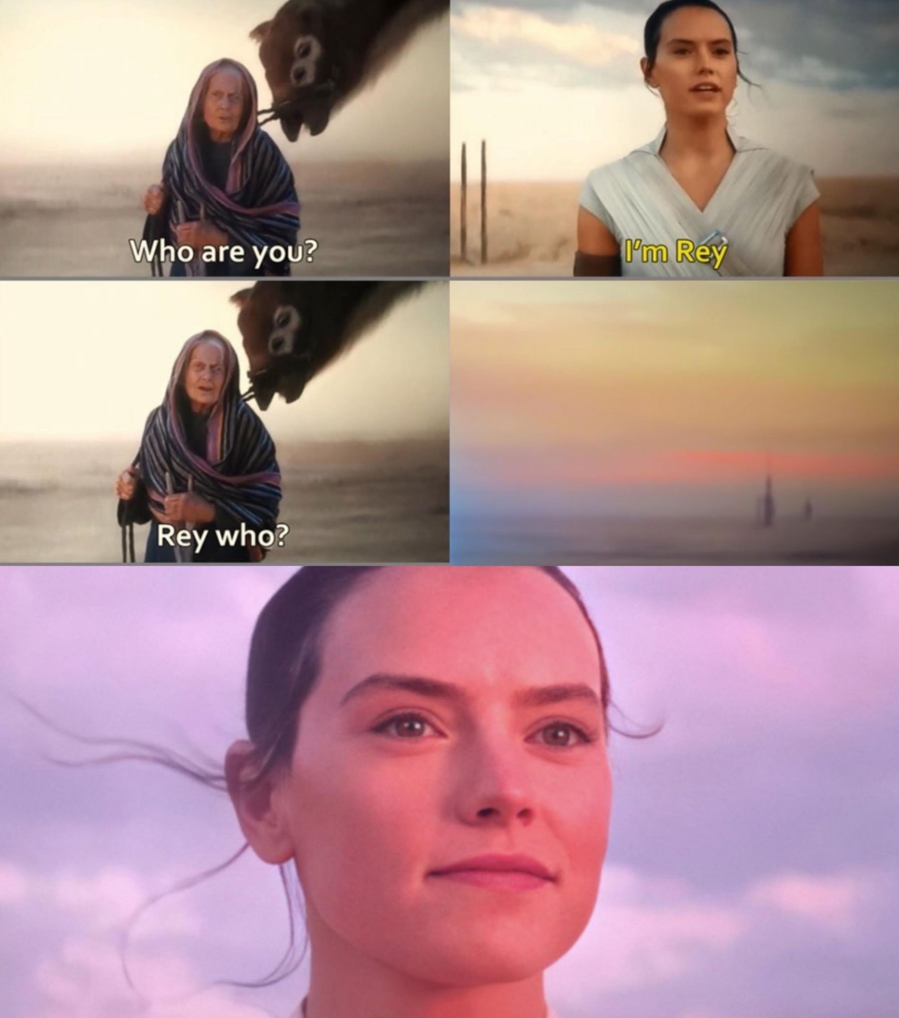 Rey Skywalker Blank Meme Template