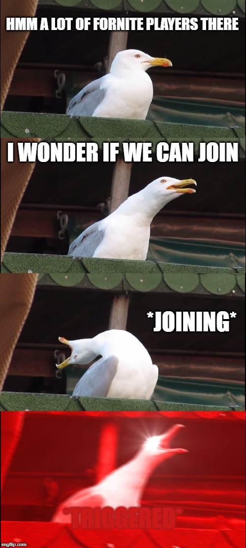 Inhaling Seagull Meme | HMM A LOT OF FORNITE PLAYERS THERE; I WONDER IF WE CAN JOIN; *JOINING*; *TRIGGERED* | image tagged in memes,inhaling seagull | made w/ Imgflip meme maker