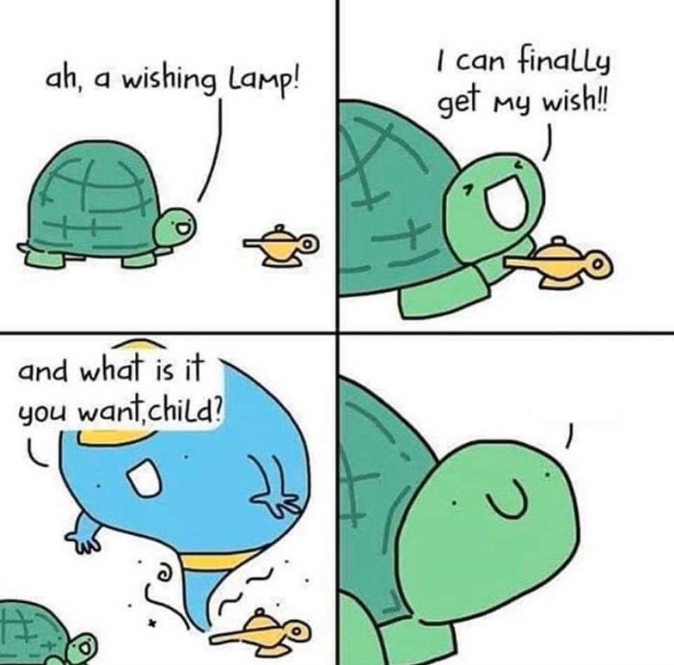 High Quality Turtle Blank Meme Template