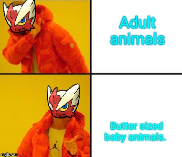 Adult animals Butter sized baby animals. | image tagged in blaze the blaziken drake meme | made w/ Imgflip meme maker