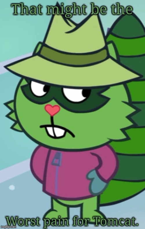 Non-Amused Shifty (HTF) | That might be the Worst pain for Tomcat. | image tagged in non-amused shifty htf | made w/ Imgflip meme maker