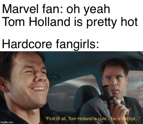 Marvel fan girls be like... | image tagged in tom holland,spiderman,the other guys,memes,funny | made w/ Imgflip meme maker
