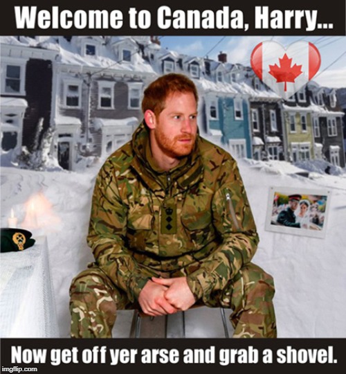 Canada Welcomes Prince Harry | image tagged in prince harry,meghan markle,newfoundland,canada,snowmageddon 2020 | made w/ Imgflip meme maker