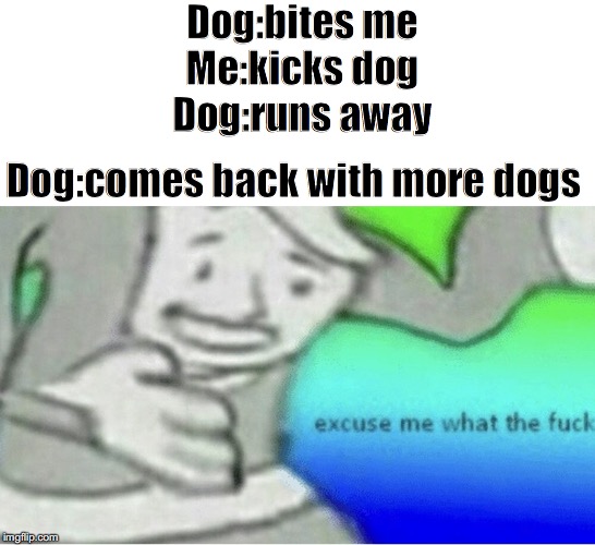 Excuse me wtf blank template | Dog:bites me
Me:kicks dog
Dog:runs away; Dog:comes back with more dogs | image tagged in excuse me wtf blank template | made w/ Imgflip meme maker