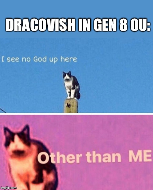 Hail pole cat | DRACOVISH IN GEN 8 OU: | image tagged in hail pole cat | made w/ Imgflip meme maker