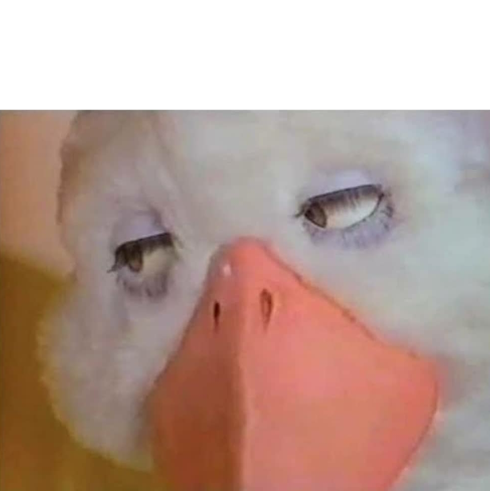 High Quality Duck Blank Meme Template