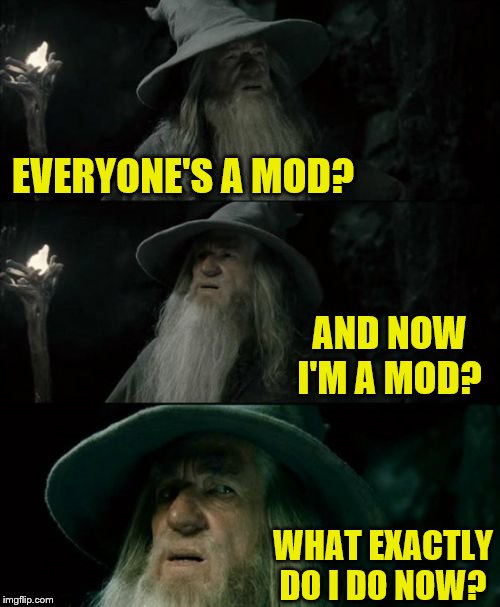 If everyone's a mod, who will moderate the moderators? |  EVERYONE'S A MOD? AND NOW I'M A MOD? WHAT EXACTLY DO I DO NOW? | image tagged in memes,confused gandalf | made w/ Imgflip meme maker