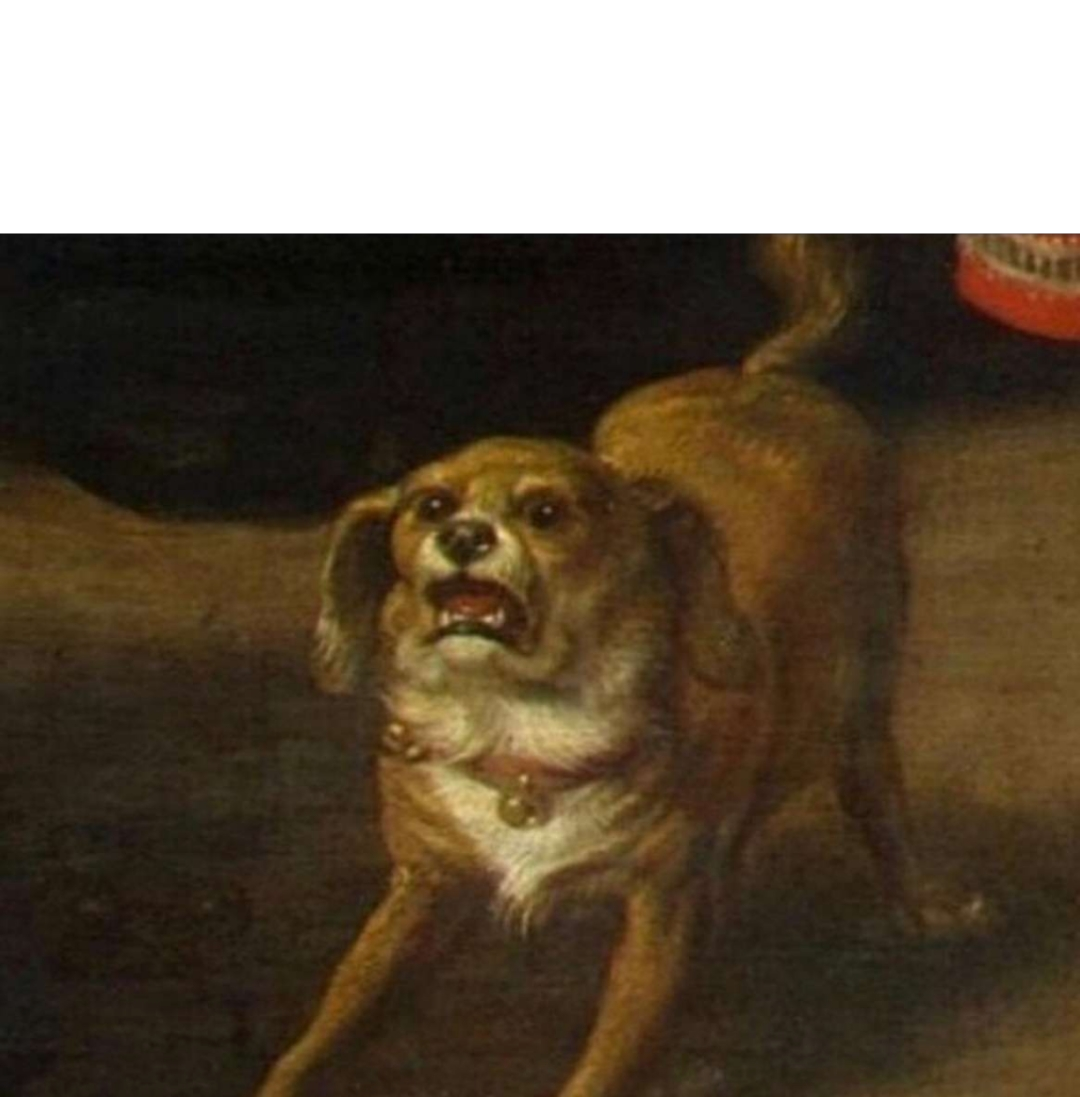 Dog Blank Meme Template