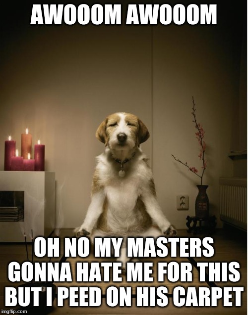 dog meditation funny | AWOOOM AWOOOM; OH NO MY MASTERS GONNA HATE ME FOR THIS BUT I PEED ON HIS CARPET | image tagged in dog meditation funny | made w/ Imgflip meme maker