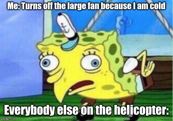 Mocking Spongebob | Me: Turns off the large fan because I am cold; Everybody else on the helicopter: | image tagged in memes,mocking spongebob | made w/ Imgflip meme maker