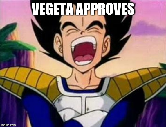 vegeta lol | VEGETA APPROVES | image tagged in vegeta lol | made w/ Imgflip meme maker