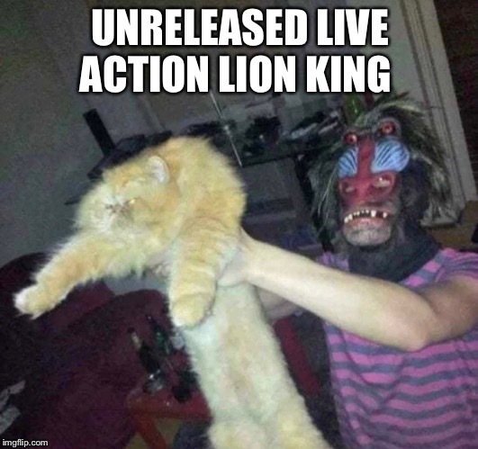 Unreleased live action lion king | UNRELEASED LIVE ACTION LION KING | image tagged in lion king,disney | made w/ Imgflip meme maker