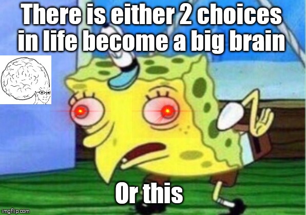Mocking Spongebob | There is either 2 choices in life become a big brain; Or this | image tagged in memes,mocking spongebob | made w/ Imgflip meme maker
