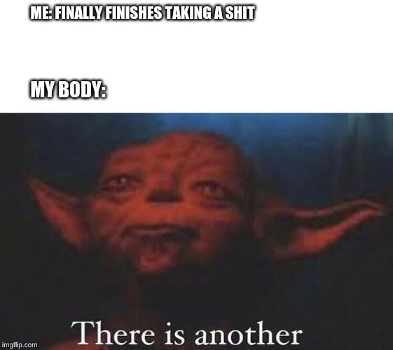 There is another | ME: FINALLY FINISHES TAKING A SHIT; MY BODY: | image tagged in there is another | made w/ Imgflip meme maker