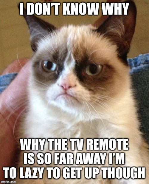 Grumpy Cat | I DON’T KNOW WHY; WHY THE TV REMOTE IS SO FAR AWAY I’M TO LAZY TO GET UP THOUGH | image tagged in memes,grumpy cat | made w/ Imgflip meme maker