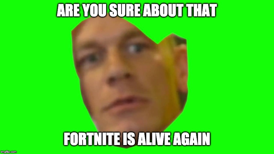 Jon Cena Are You Sure About That | ARE YOU SURE ABOUT THAT; FORTNITE IS ALIVE AGAIN | image tagged in jon cena are you sure about that | made w/ Imgflip meme maker