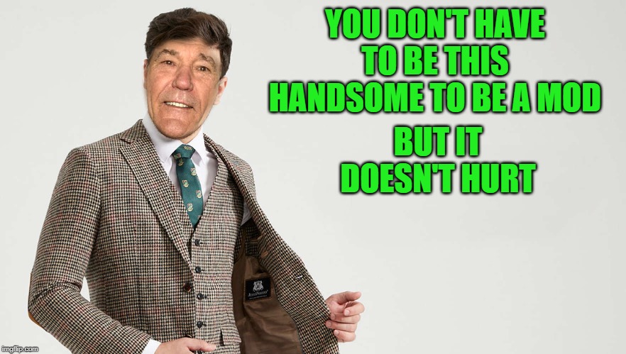YOU DON'T HAVE TO BE THIS HANDSOME TO BE A MOD; BUT IT DOESN'T HURT | made w/ Imgflip meme maker