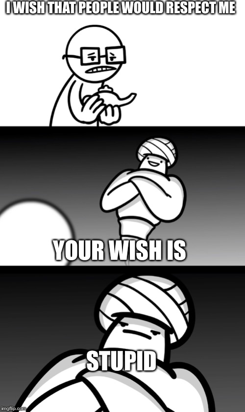 Your Wish is Stupid | I WISH THAT PEOPLE WOULD RESPECT ME; YOUR WISH IS; STUPID | image tagged in your wish is stupid,funny,fun,wish,memes,sad | made w/ Imgflip meme maker
