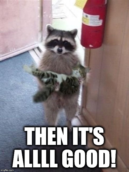 Cat Burglar Raccoon | THEN IT'S ALLLL GOOD! | image tagged in cat burglar raccoon | made w/ Imgflip meme maker